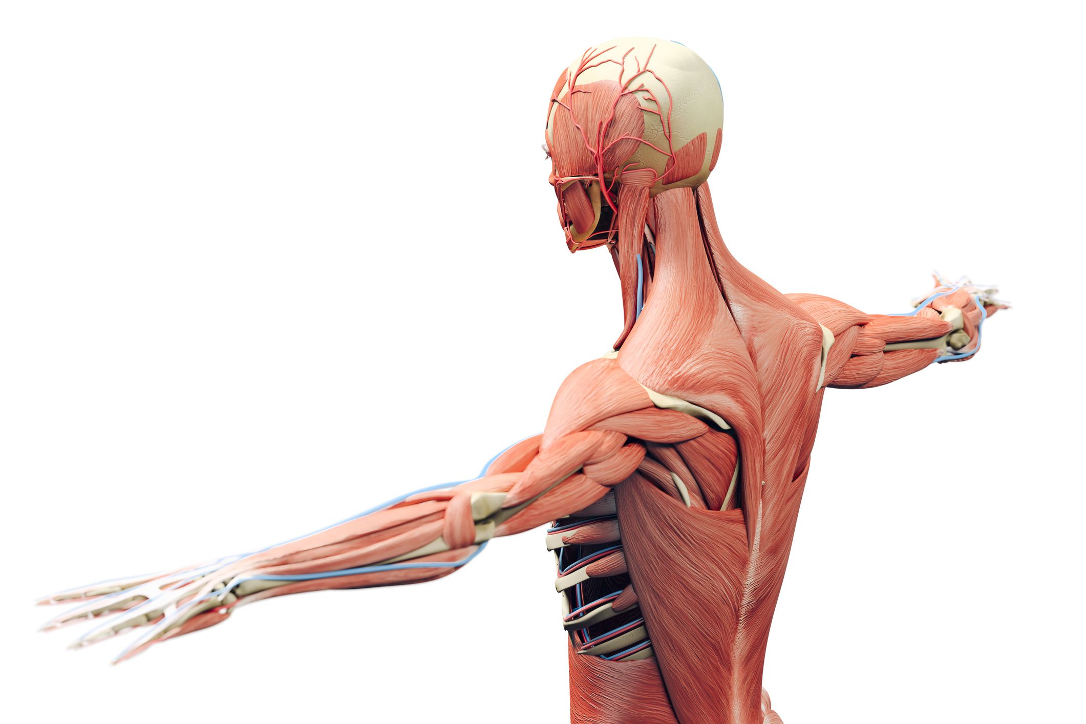 Orthopedic specialist in Fairfax VA chantilly va reston va